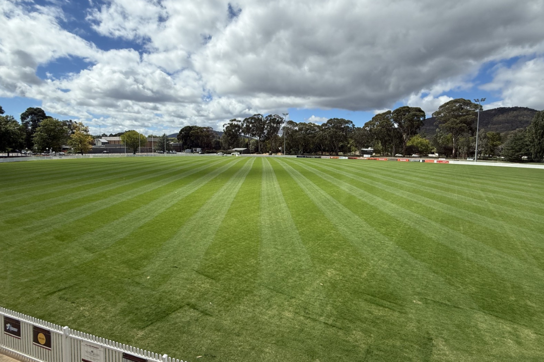 Website Article Image (15)