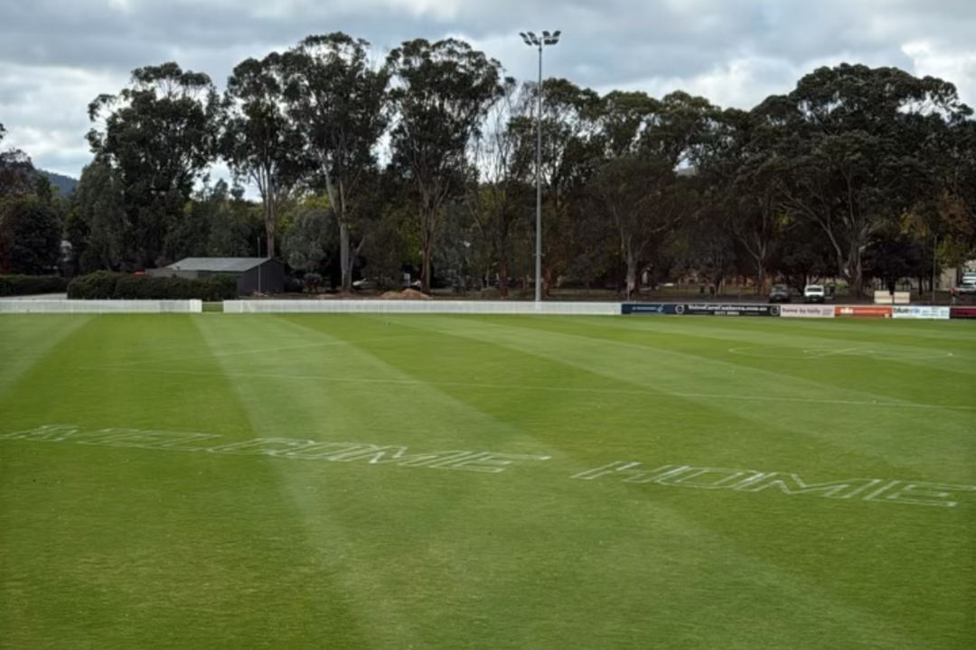 Website Article Image (16)